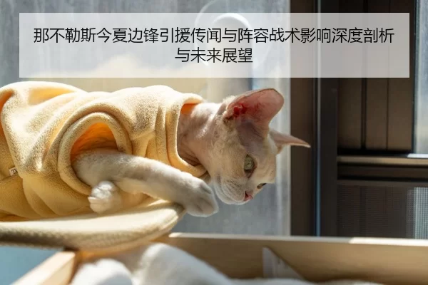 那不勒斯今夏边锋引援传闻与阵容战术影响深度剖析与未来展望